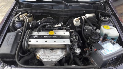Klick um die Datei 20190324_144430.jpg in voller Größe zu öffnen