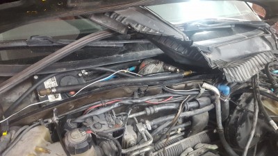 Klick um die Datei 20210614_203543.jpg in voller Größe zu öffnen