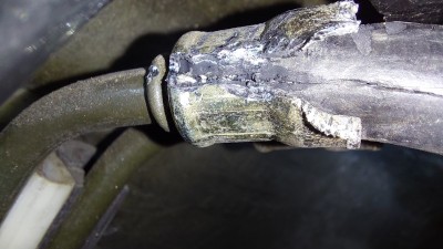 Klick um die Datei 20240607_144733.jpg in voller Größe zu öffnen