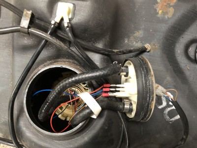 Klick um die Datei 48A7DAFA-49F0-416E-9CF9-4E8B3A66D361.jpeg in voller Größe zu öffnen