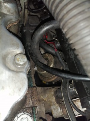 Klick um die Datei 897a1519-087a-4a7b-b069-061b9a25d131.jpg in voller Größe zu öffnen