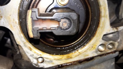 Klick um die Datei -5188680816010573334_121.jpg in voller Größe zu öffnen