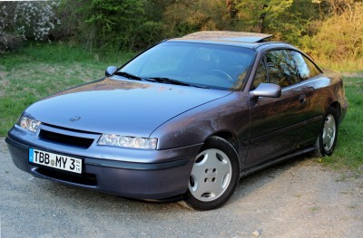 Klick um die Datei Calibra4.JPG in voller Größe zu öffnen