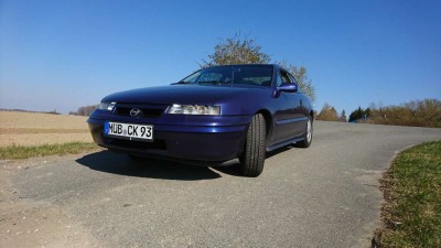 Klick um die Datei calibra .JPEG in voller Größe zu öffnen