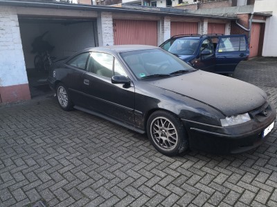 Klick um die Datei Calli.jpg in voller Größe zu öffnen