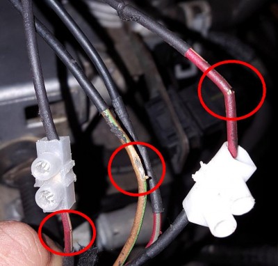 Klick um die Datei hng.jpg in voller Größe zu öffnen