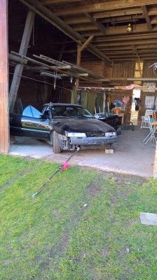 Klick um die Datei IMG-20180407-WA0002.jpg in voller Größe zu öffnen