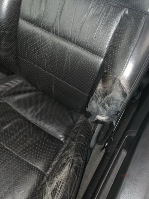 Klick um die Datei IMG_8586.jpg in voller Größe zu öffnen
