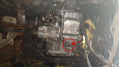 Klick um die Datei stopfen.jpg in voller Größe zu öffnen
